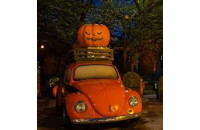 Play Halloween Scary Jungle Road Drive now!