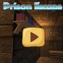 Prison Escape 3D