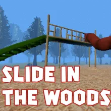 Slide In The Woods