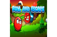 Play Roll and Escape now!
